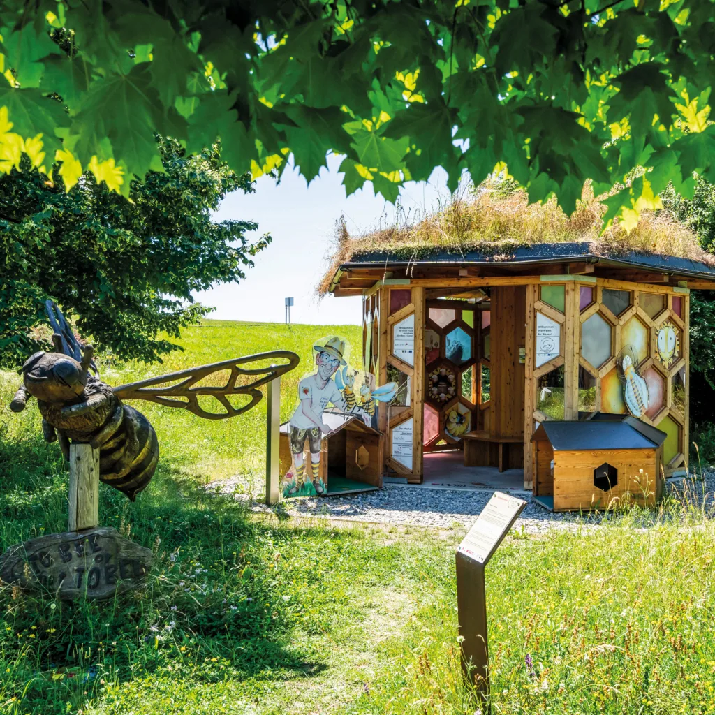 herbst-0220 Roland Heinzle, der Gründer der BeeBar in Marbach, hat 2014 den einzigen und ersten Bienenpark in Österreich eröffnet.